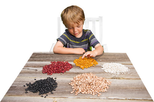 Child counting beans.