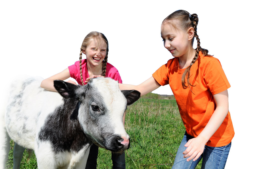 Two young girls with a young calf in the eastern Colorado prairie.